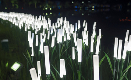 成都世警會(huì)正火熱開(kāi)展，華體用夜景照明這樣添彩世警會(huì)